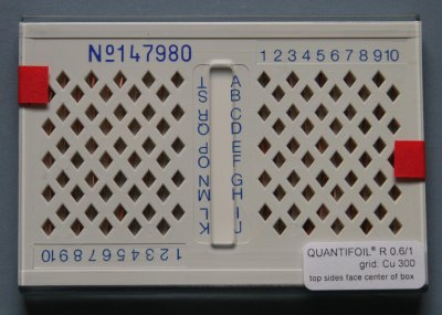 Quantifoil R 2/2 on Cu 200 mesh grids 100/Grid - Click Image to Close