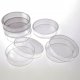 Dish Petri Plastic 60mm PS Ster (pkt/10)