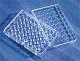 Plate Tissue Culture Corning 48 Well Clear Cell each