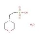 Morpholinoethanesulfonic acid (MES) biological buffer 100g